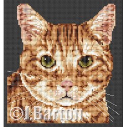 Ginger tom cat cross stitch chart