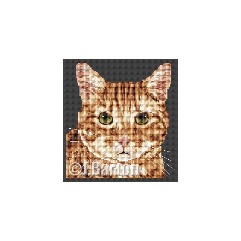 Ginger tom cat cross stitch chart