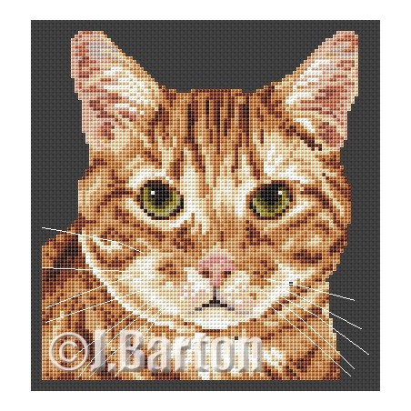 Ginger tom cat cross stitch chart