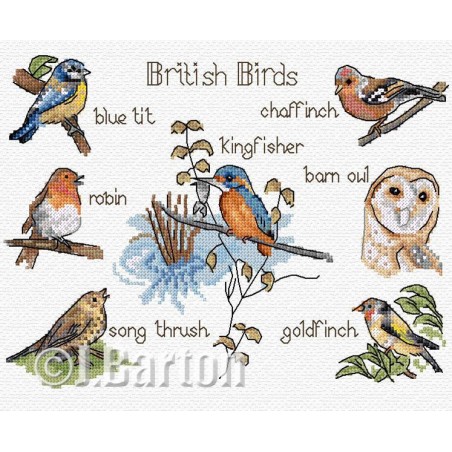 British bird cross stitch chart