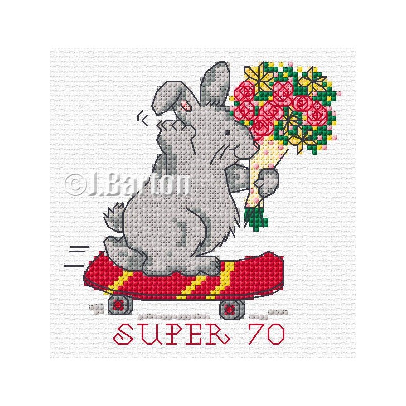 Super 70 cross stitch chart