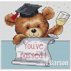 You've passed (cross stitch chart download)