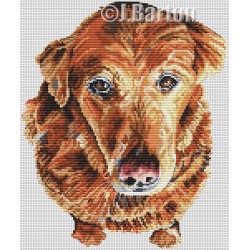 Cute retriever cross stitch chart download