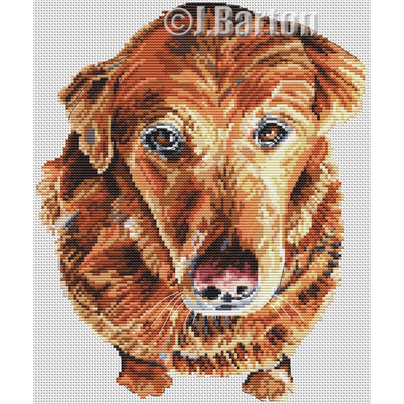 Cute retriever cross stitch chart download