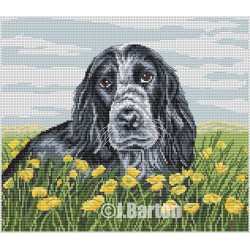 Cocker spaniel (cross stitch chart download)