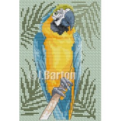 Blue and gold macaw (cross stitch chart download)