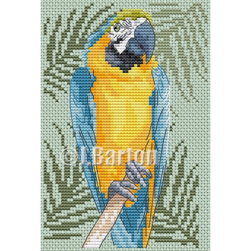 Blue and gold macaw (cross stitch chart download)